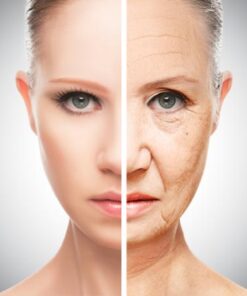 ENVEJECIMIENTO/REPARACIÓN